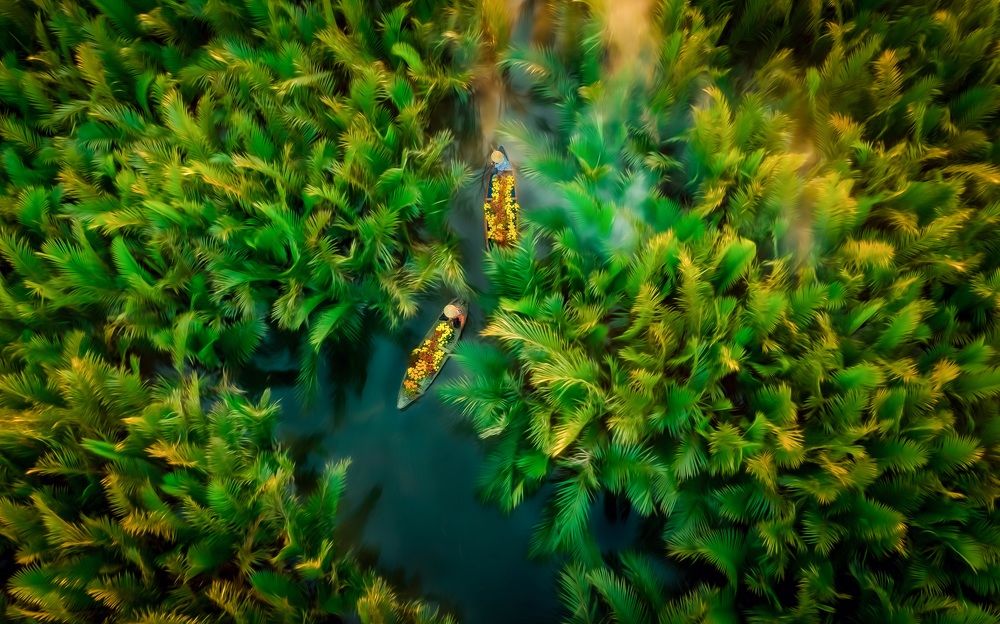 UNDER THE NIPA FOREST