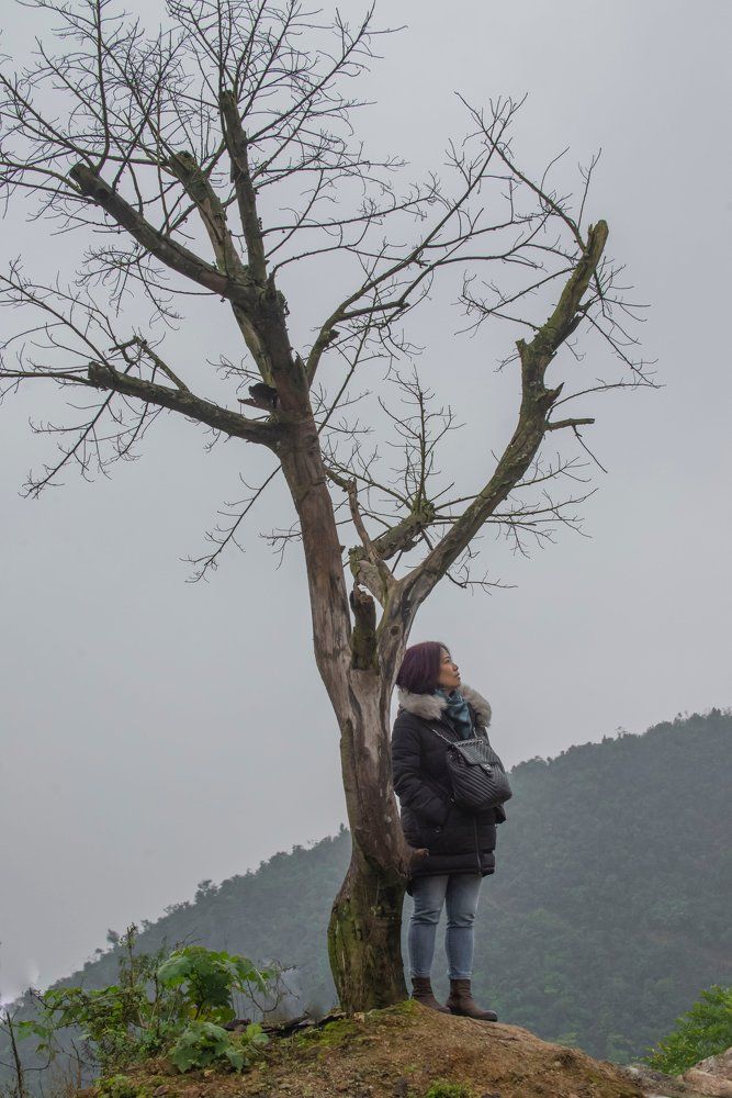 Photograph by Khiem Duong Manh