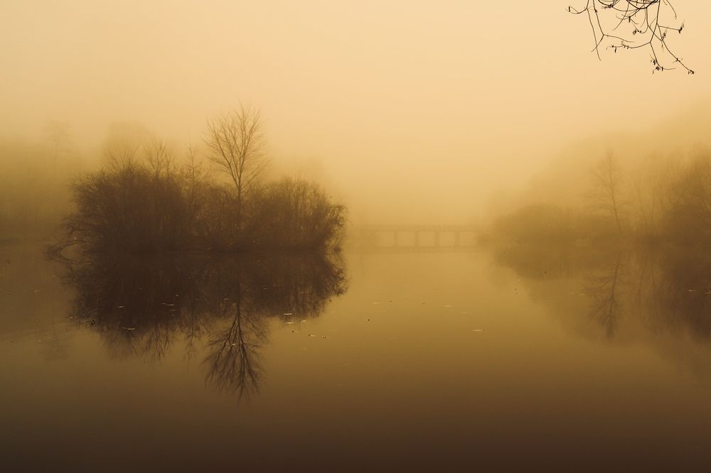 Photograph by Алексей Шевченко