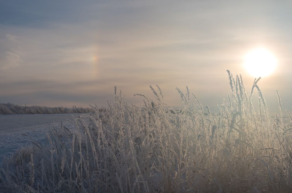 Photograph by Александрова Ольга