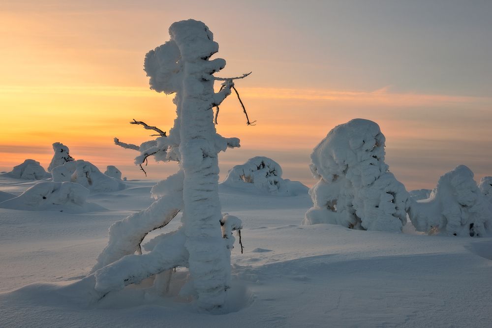 Photograph by Евгений Дробжев