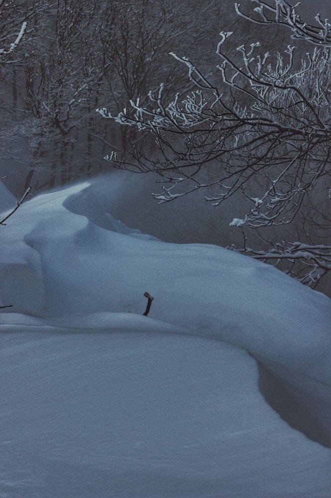 Photograph by Elijah Ishchenko