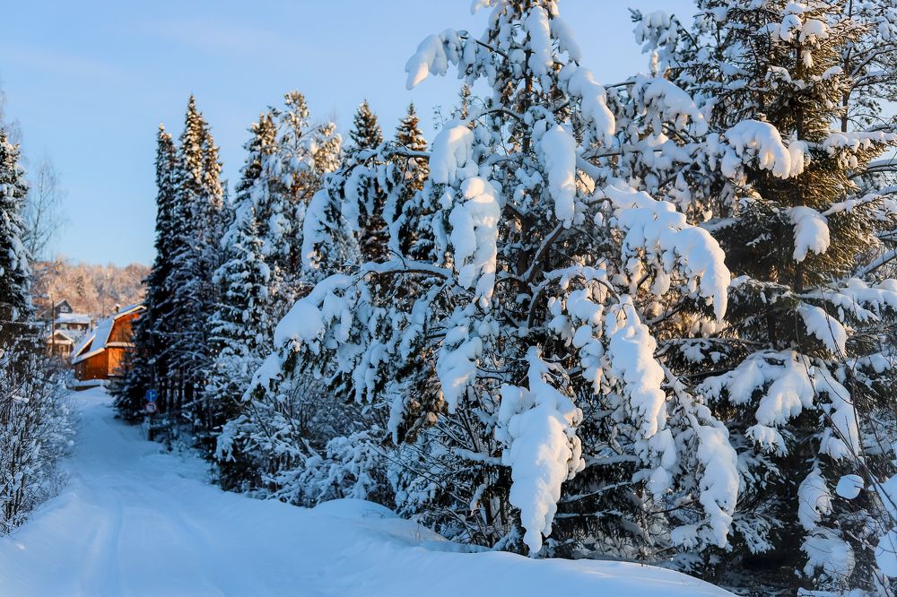 Photograph by Юлия Трап