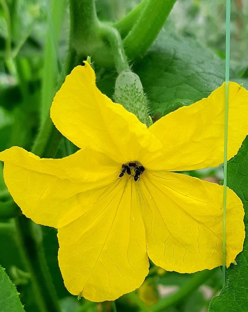 Фотография автора Ирина Лукьянчик