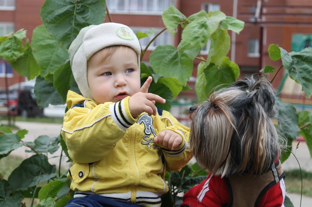 Photograph by Екатерина Хозяшева