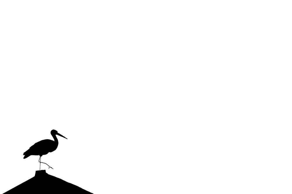 Photograph by Владимир Салапонов