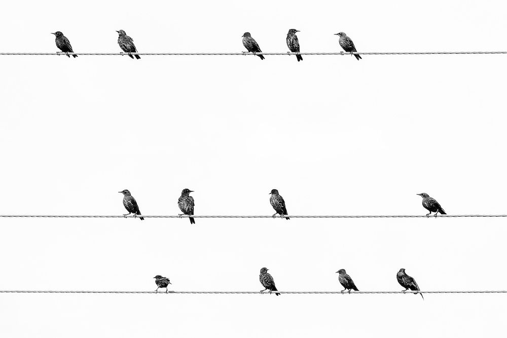 Photograph by Владимир Салапонов