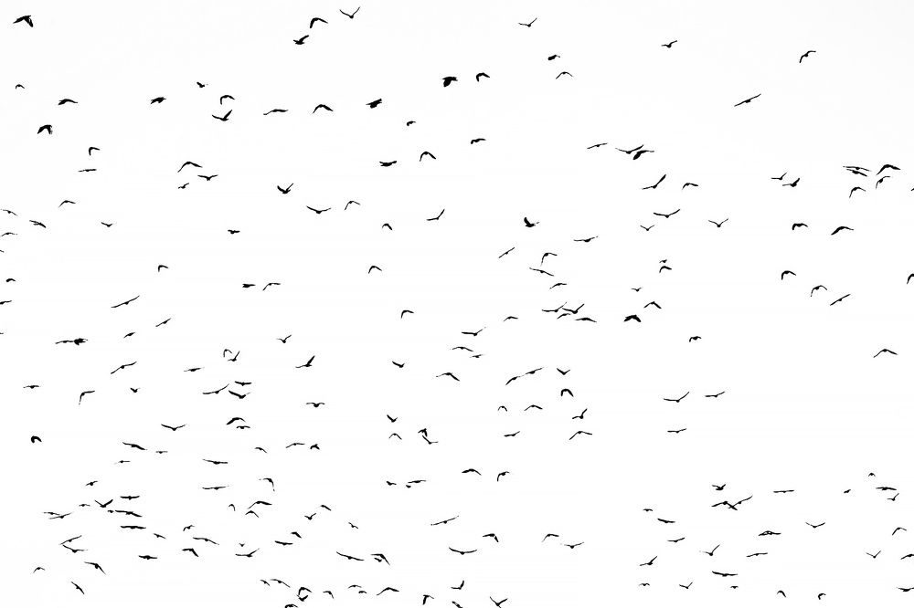 Photograph by Владимир Салапонов