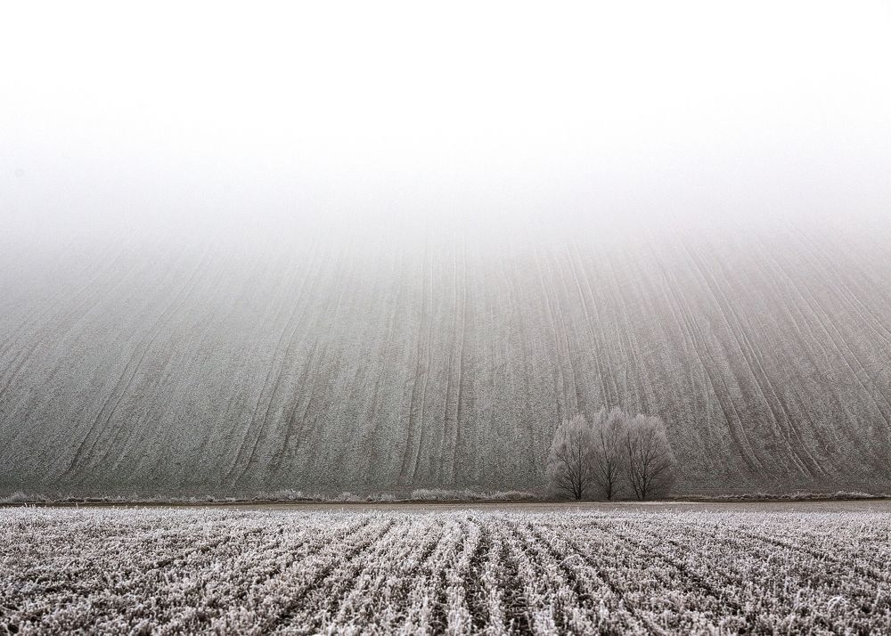 Photograph by Peter Seitler