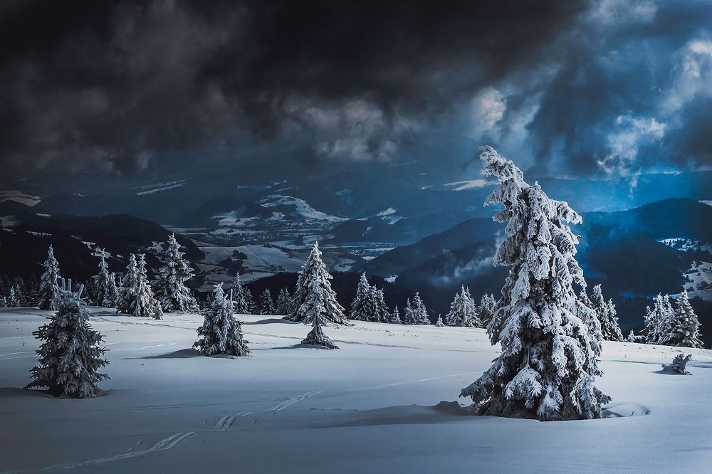 Photograph by Peter Seitler