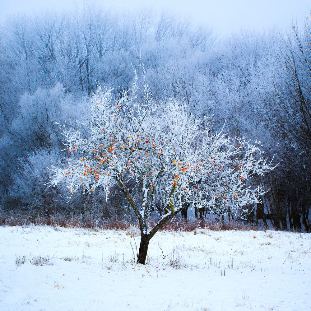 Photograph by Peter Seitler