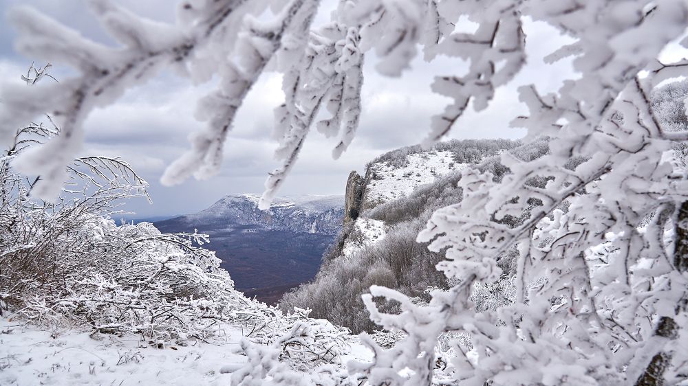 Photograph by Наталья Богач