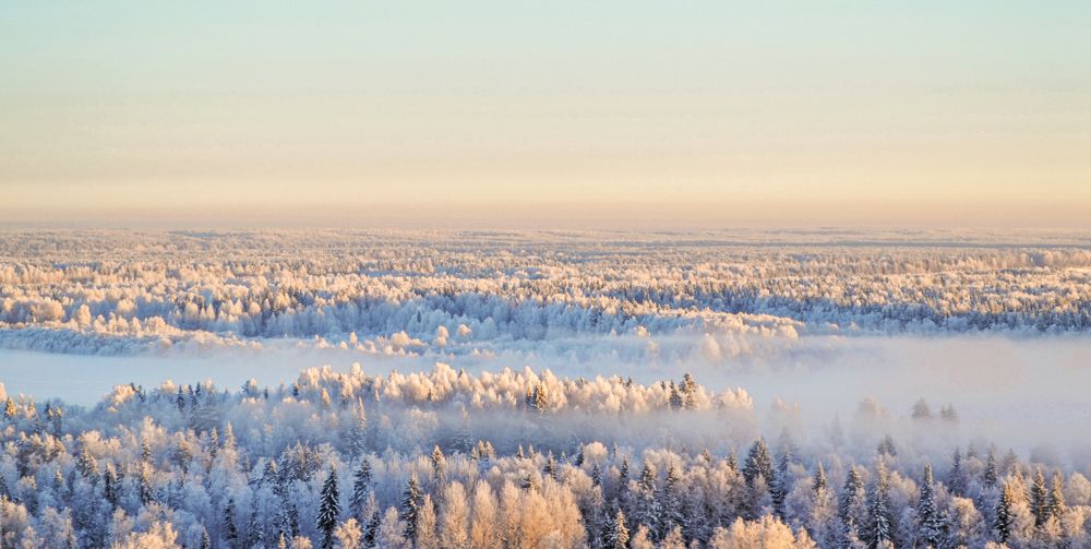 Photograph by Светлана Чебыкина