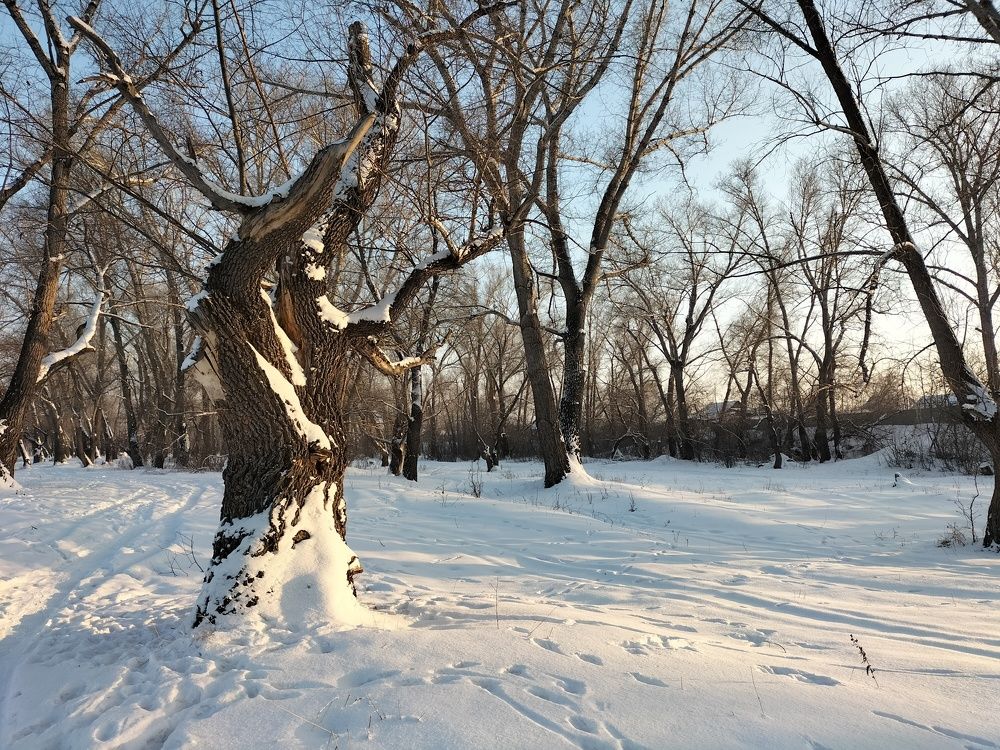 Photograph by Екатерина Оспанова