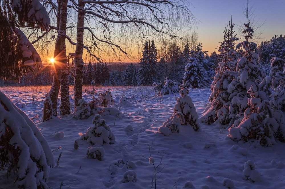 Photograph by Анатолий Кичигин