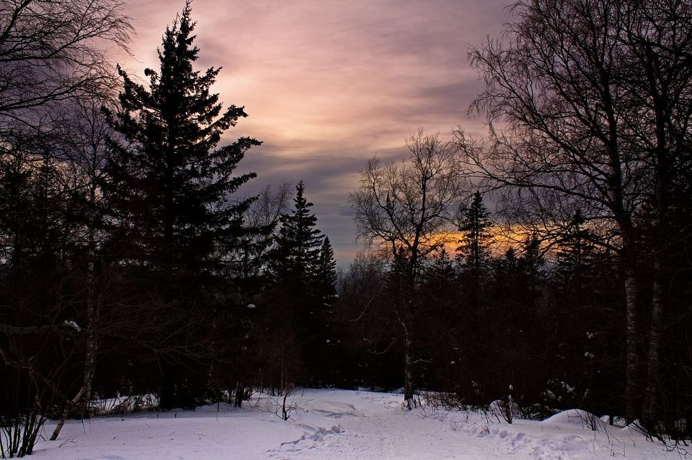 Photograph by ANTON KLYUSHIN