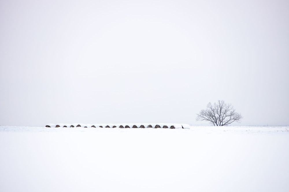 Photograph by Yana Raaga