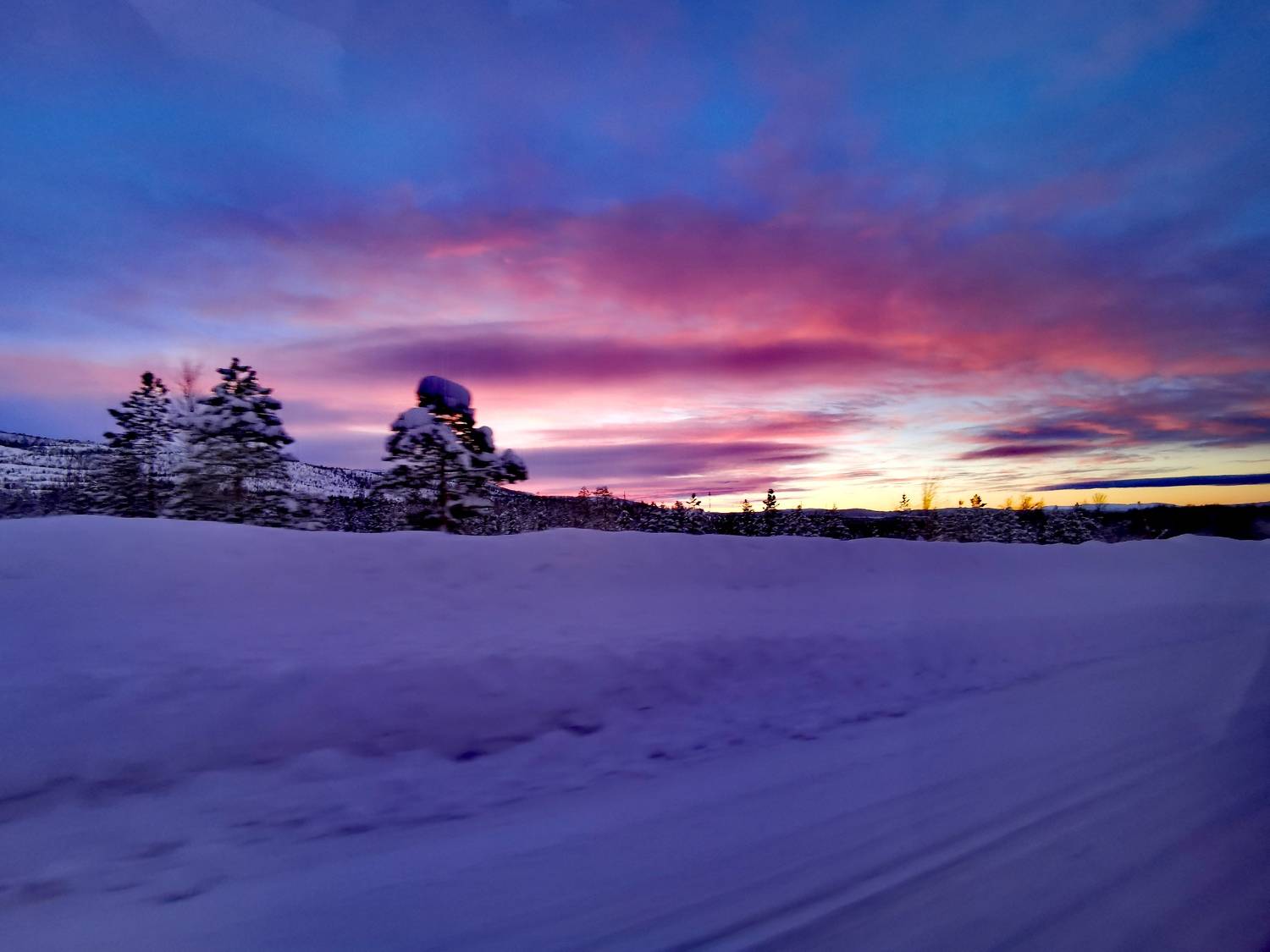 Photo #7183092