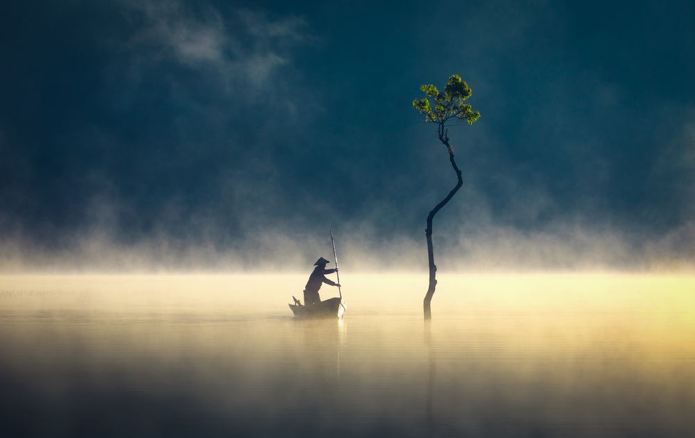 Photograph by Tuấn Nguyễn Tấn