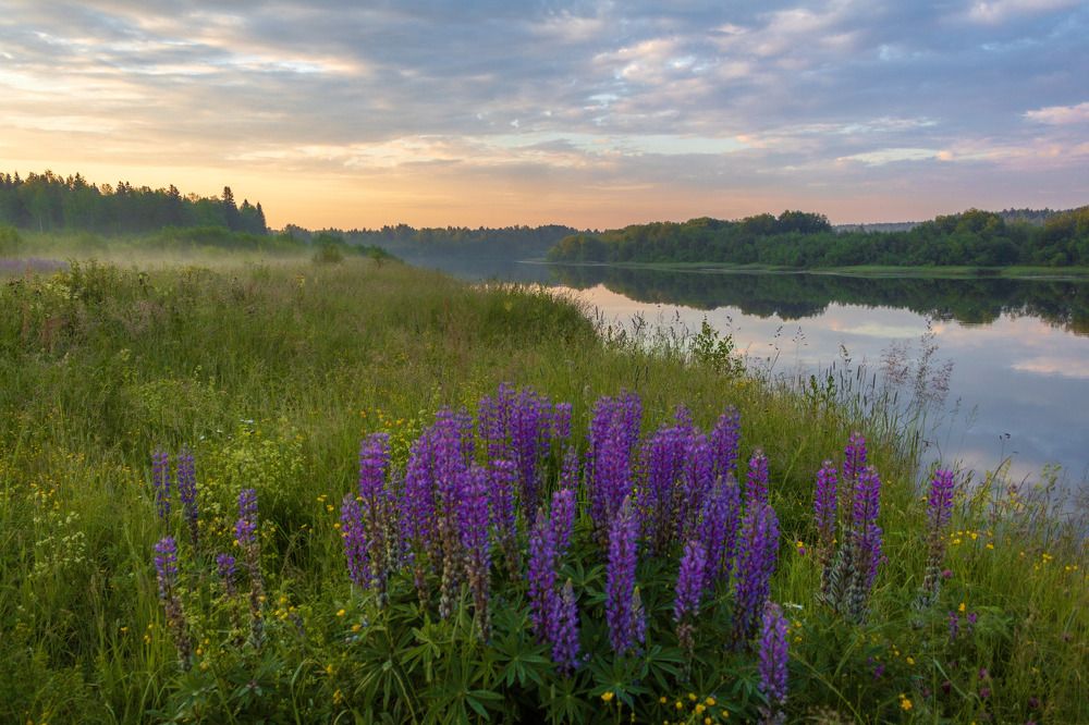 Photograph by Анатолий Кичигин