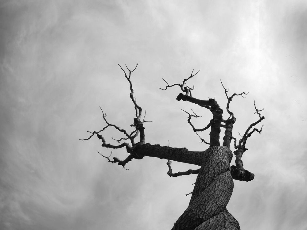 Photograph by Farid Ataei