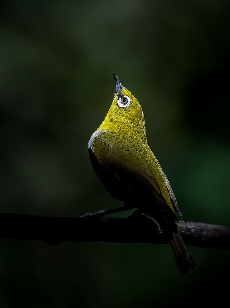 Touching the sun light