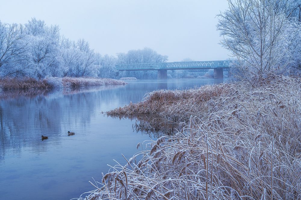 Photograph by Alberto Alonso