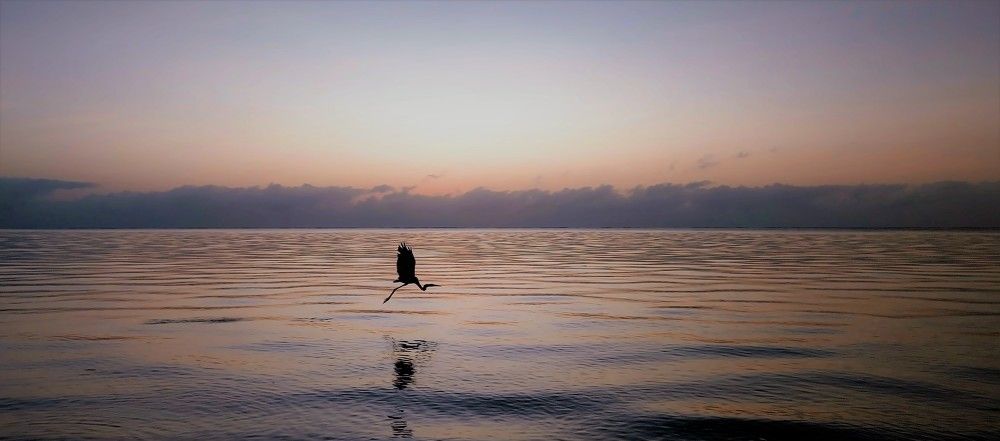 Photograph by Epp Tappel