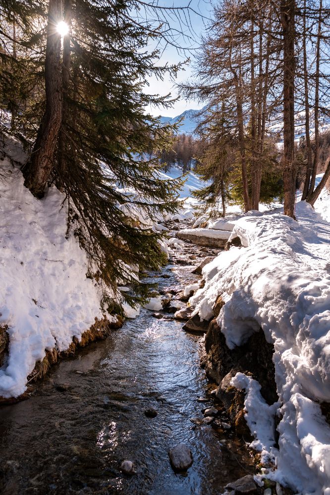 Photograph by Алена Устинович