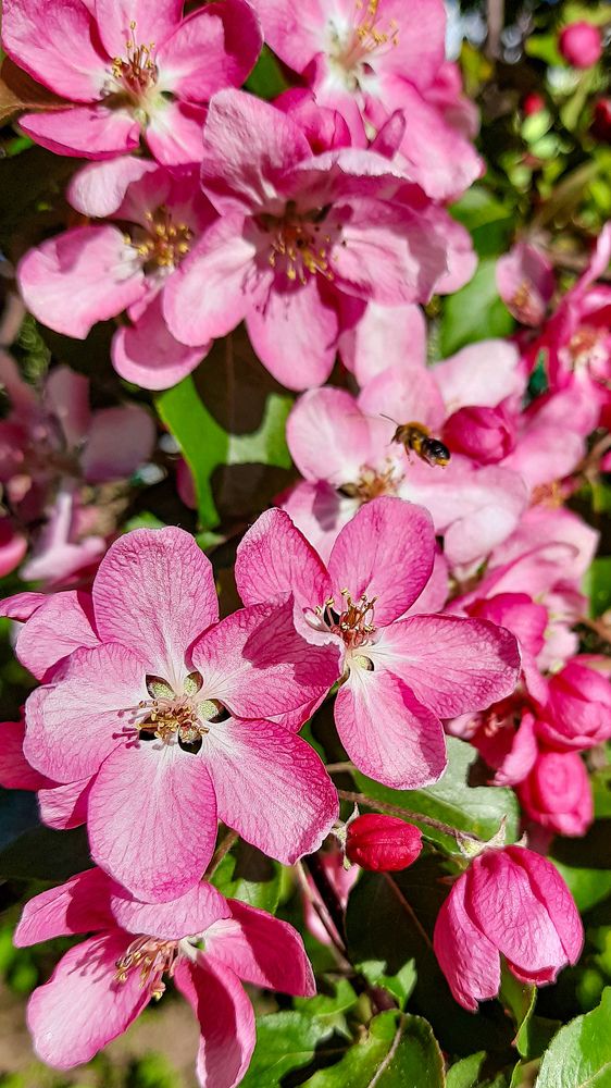 Photograph by Эдуард Шадров