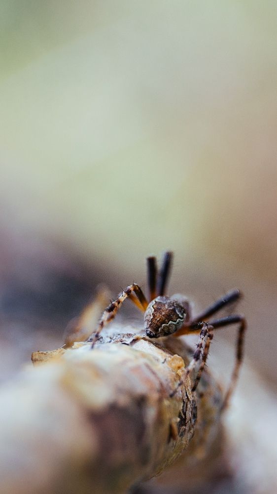 Photograph by Юлия Айдарова