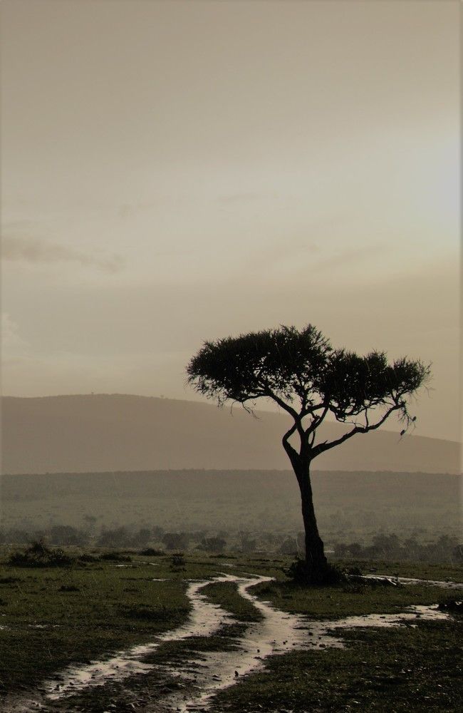 Photograph by Epp Tappel