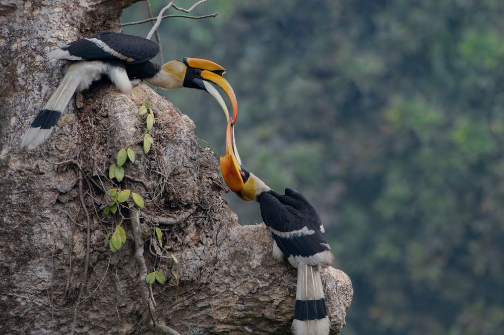 Photograph by Ashish