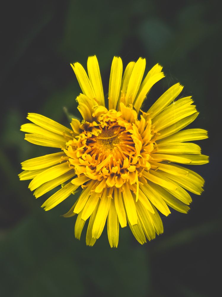 Photograph by Александр Безуглый