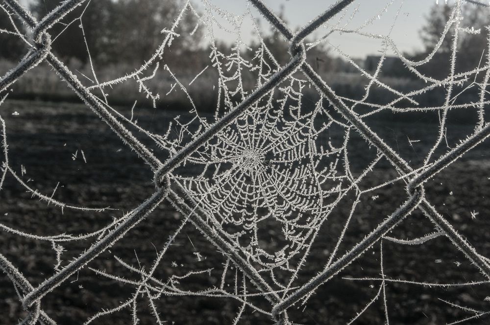 Photograph by Александр Челюканов