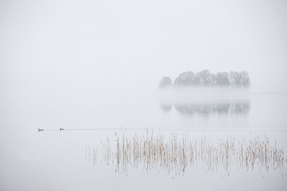 Photograph by Yana Raaga