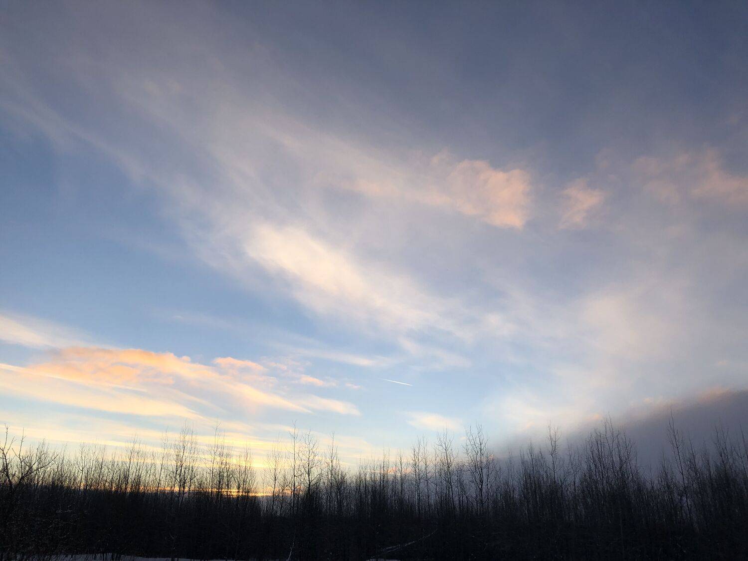 Photo #7183434