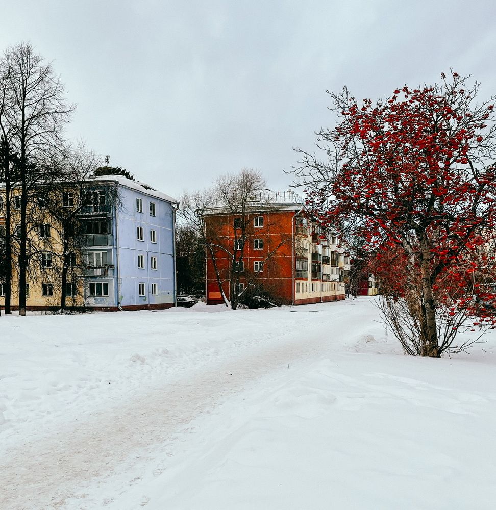 Photograph by Анастасия Гончарова