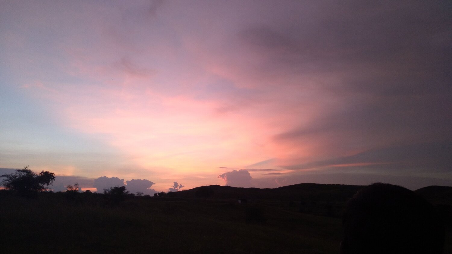 The Horizon