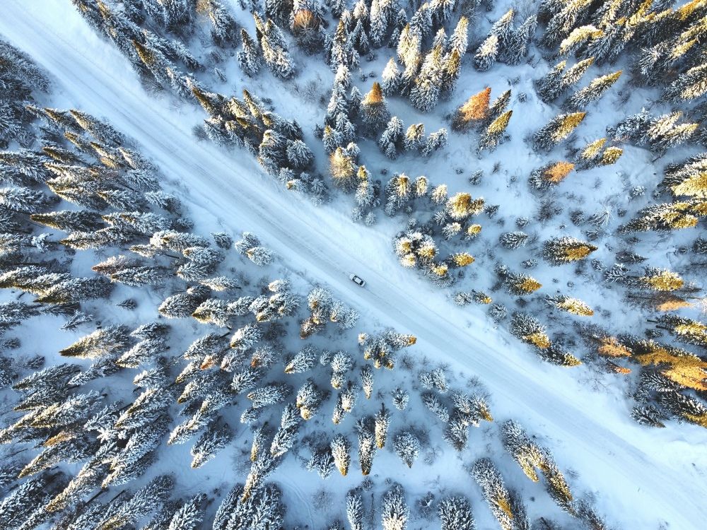 Photograph by Максим Черепанов