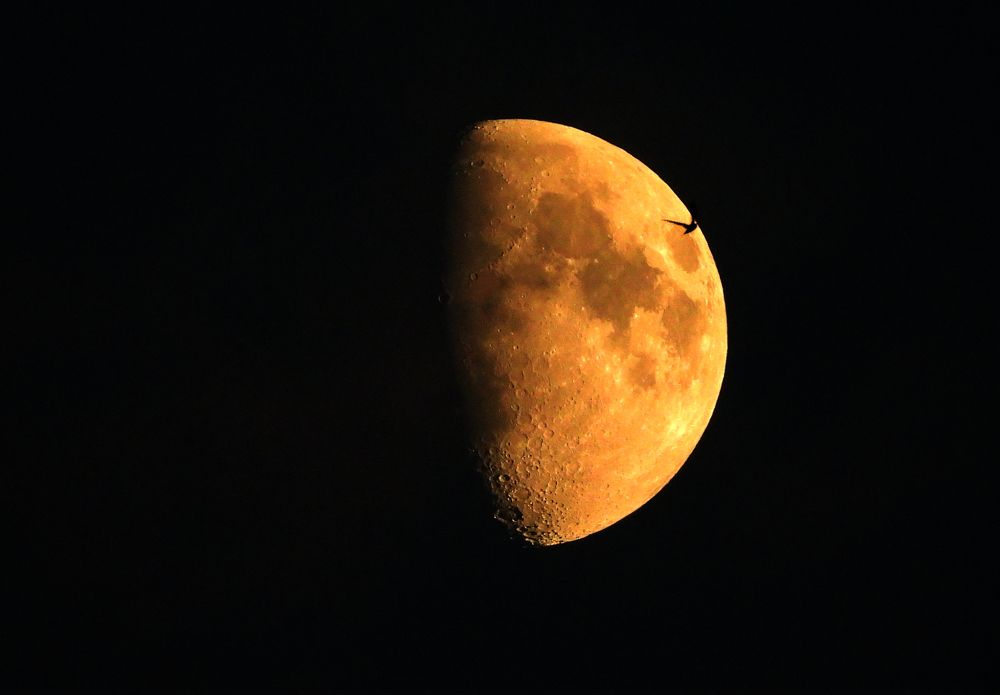 Photograph by Дмитрий Дрозд