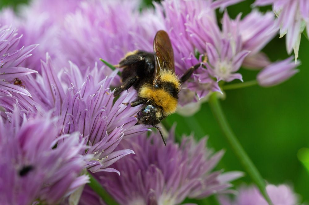 Photograph by Сергей Пискарёв