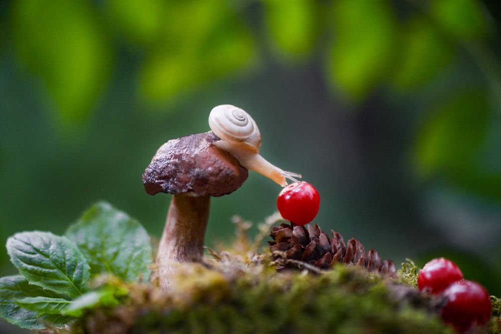 Photograph by Быканова Виктория