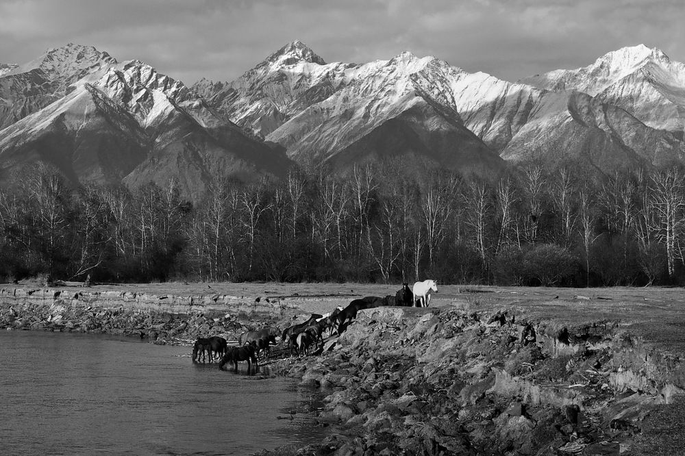 Photograph by Александр Попов