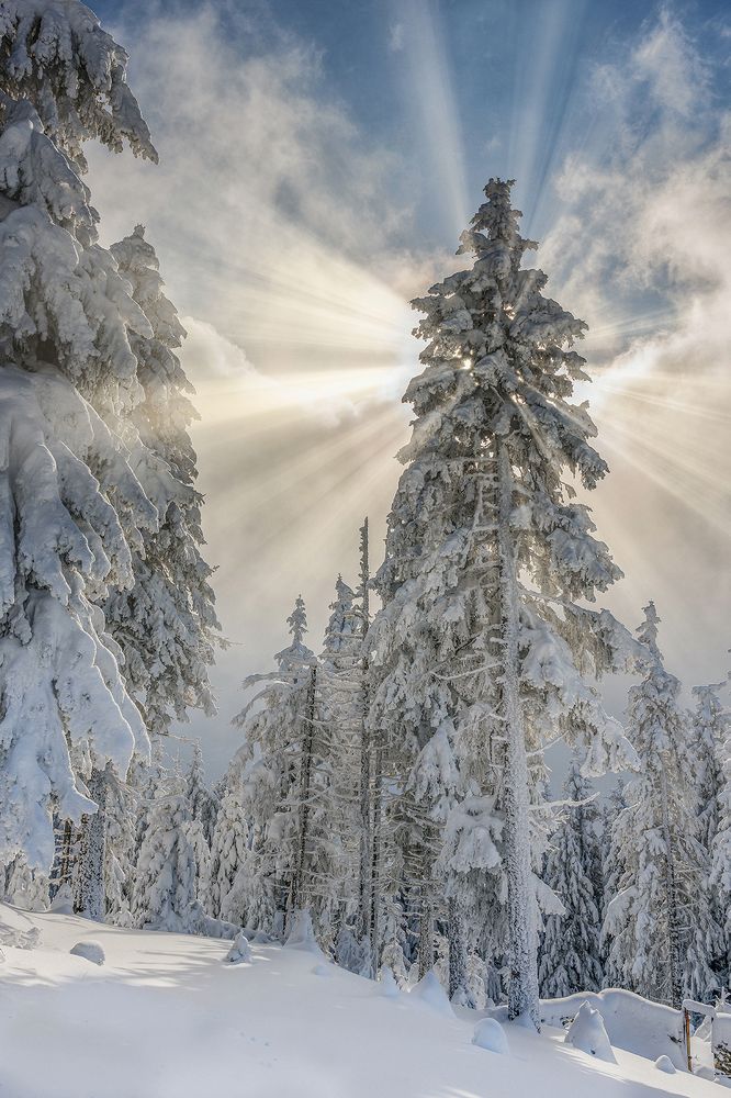 Фотография автора H Gabriel