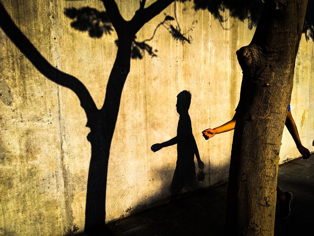 Photograph by Darshan Shah