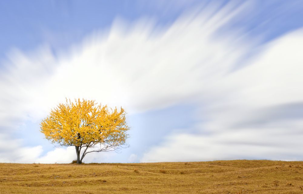 Photograph by Sarageaua Cristina