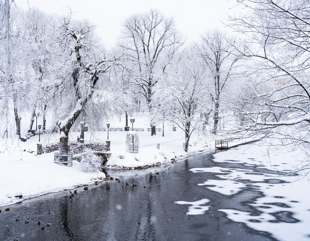 Photograph by Olga Zdančuka