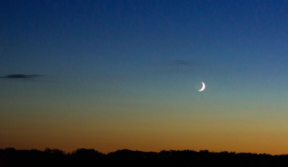 Photograph by Ирина Кошлюнова