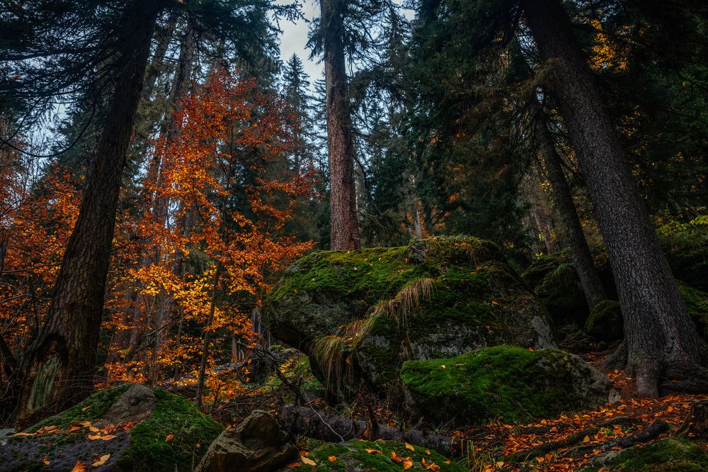 Photograph by Юлия Калиничева